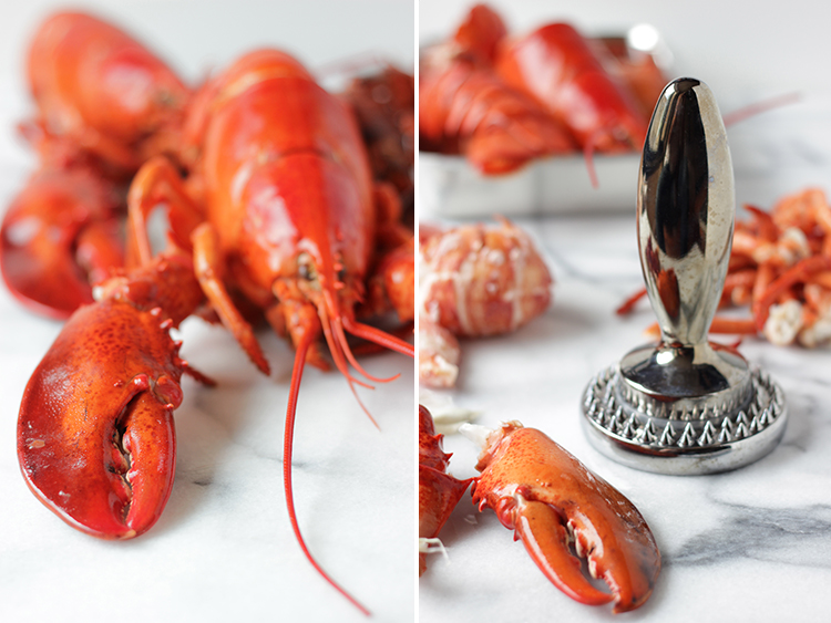 lobster-claw