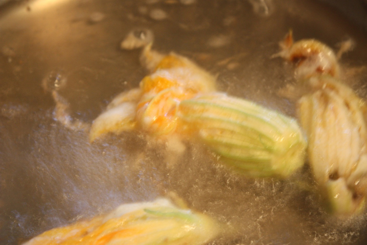 squash-blossoms-6