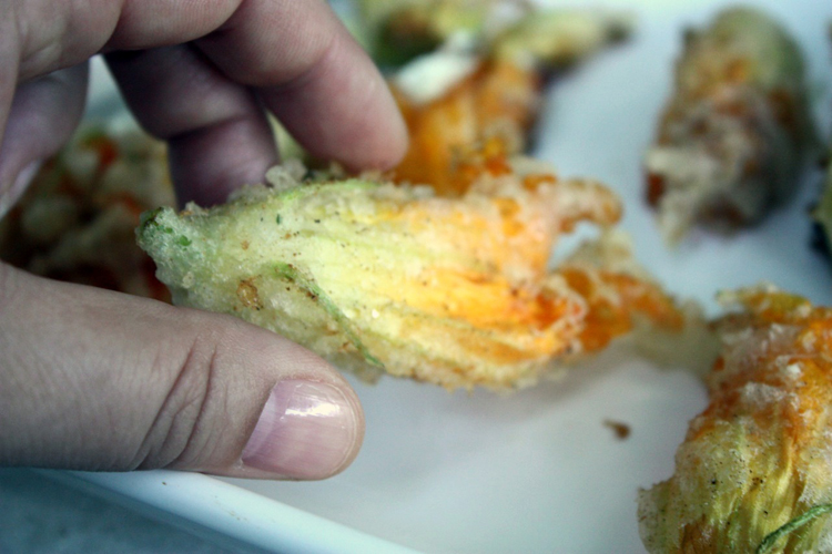 squash-blossoms-9