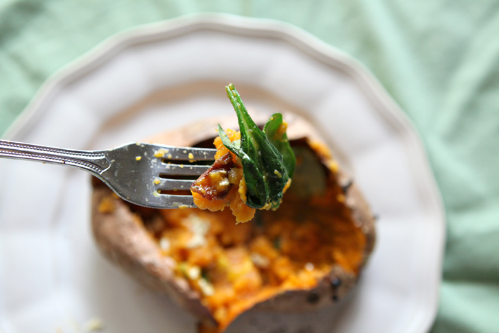 Four Layer Baked Sweet Potato // Erin Skinner of The Speckled Palate for My Cooking Spot