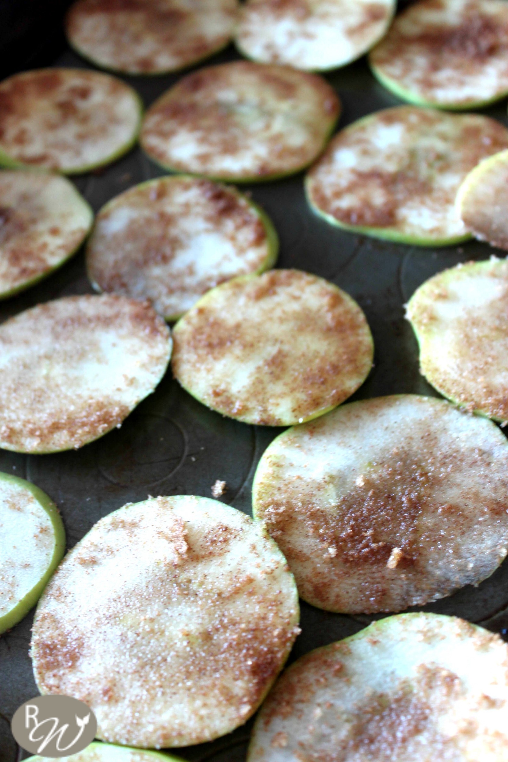 Cinnamon Apple Chips