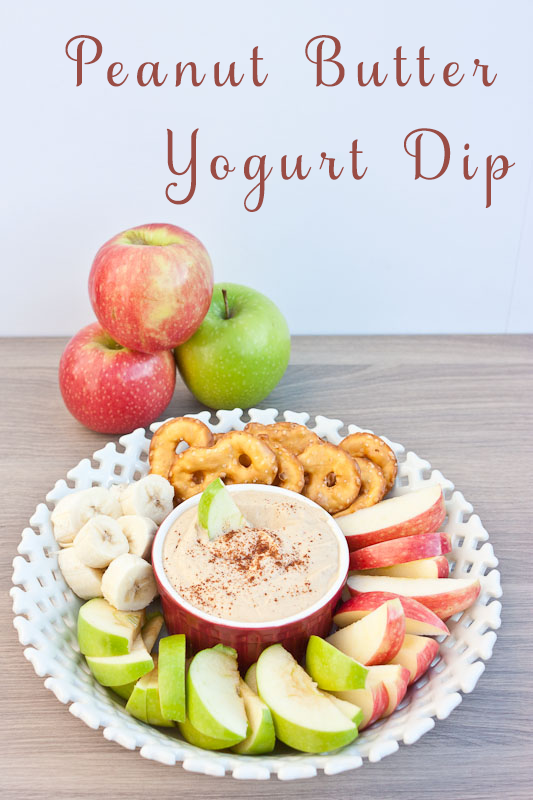 Peanut-Butter-Yogurt-Dip-My-Cooking-Spot