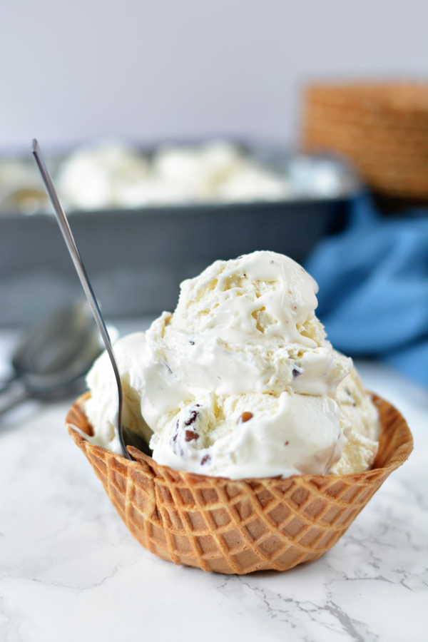 no-churn-butter-pecan-ice-cream-03
