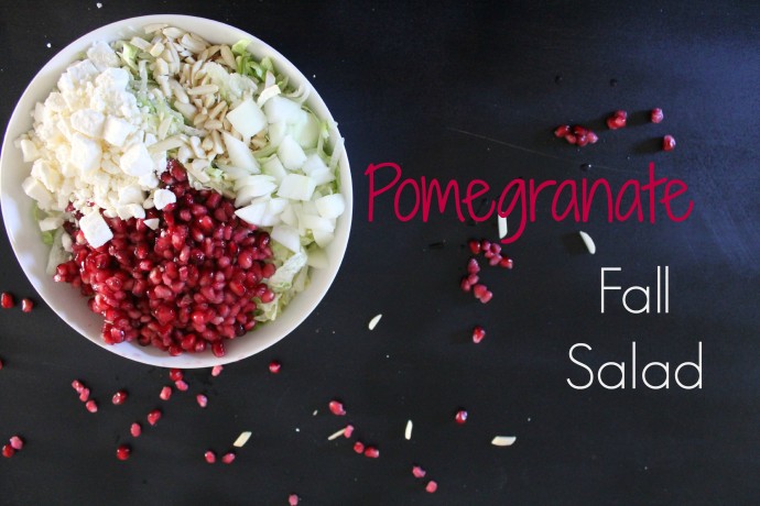 pomegranatefallpin