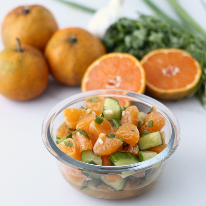 clementine salsa - 1