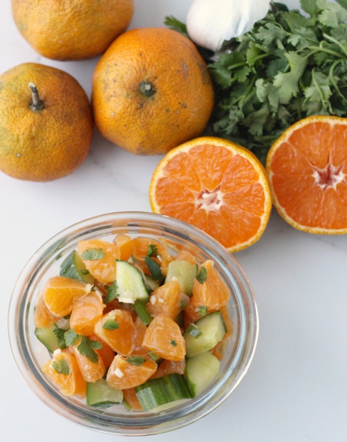 clementine salsa - 3