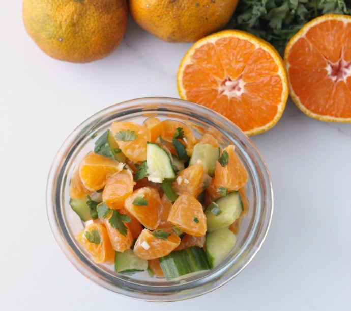 clementine salsa - 4
